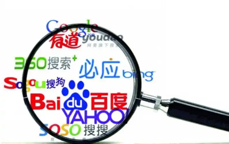 美男子布偶猫洗护